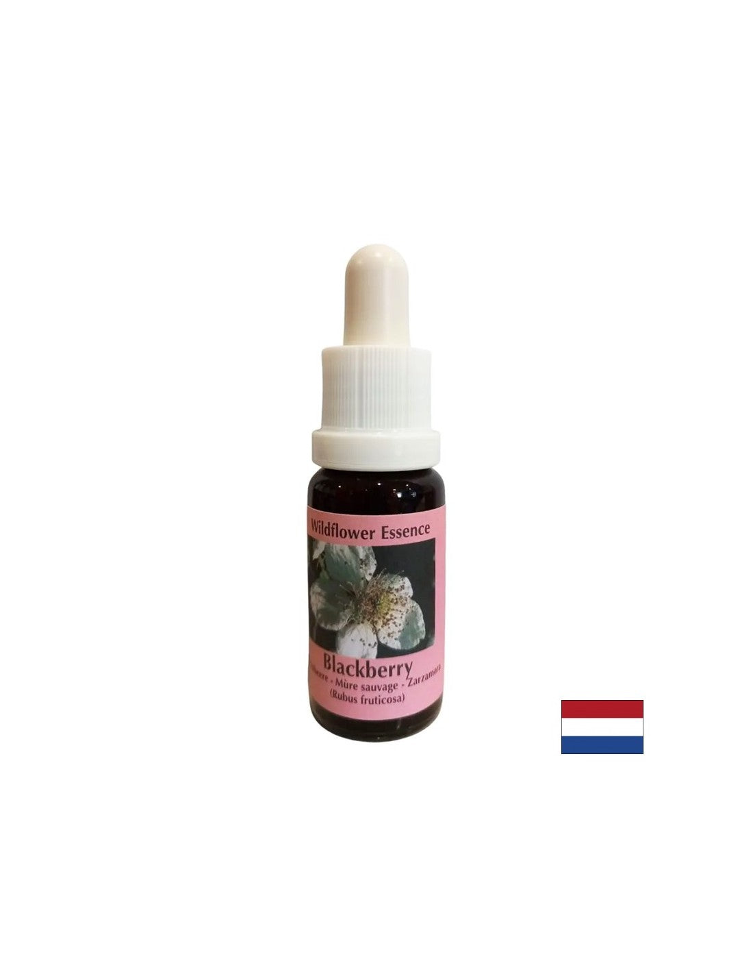 Potiče vitalnost i aktivira kreativnost - Blackberry Essence br. 22, kapi 15 ml