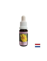 Razbistri um u slučaju straha i panike - Helianthemum Essence (Yellow) br. 26, kapi 15 ml