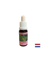 Podržava timski rad i kreativnost - Lopen Essence br. 29, kapi 15 ml