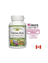 Korijen valerijane 300 mg - 90 kapsula