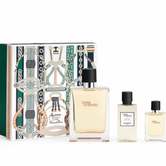 Terre d'Hermes eau de toaletni sprej 100ml set 3 komada