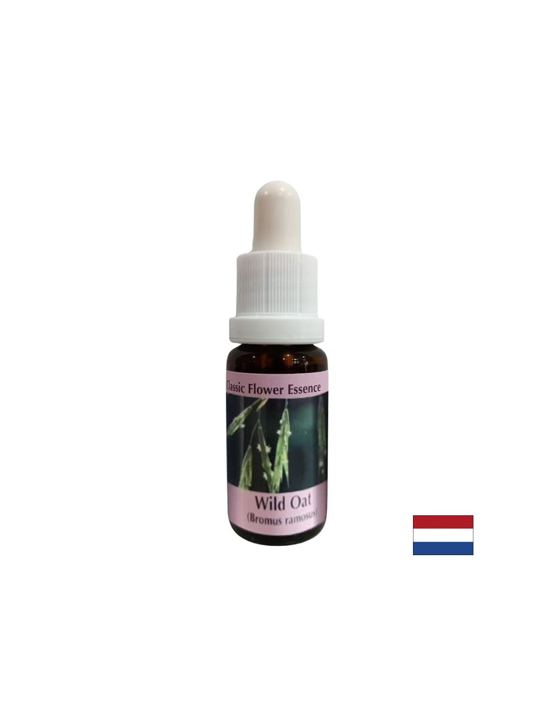 Povećava samopouzdanje - Oatmeal Essence br. 36, kapi 15 ml
