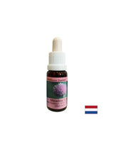 Potiče snagu volje i metabolizam - Esencija luka br. 39, kapi 15 ml
