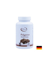 Imunitet - Umbrella Polyporus, 420 mg x 180 kapsula