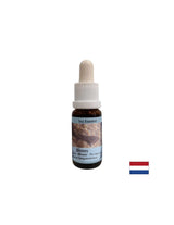 Podržava intuiciju i dijeljenje emocija - Essence Sea Dog br. 5, kapi 15 ml