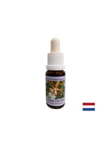 Potiče pozitivan stav prema životu - Essence Colorful Orchid br. 7, kapi 15 ml