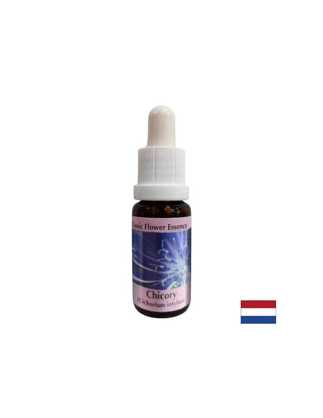 Za fokus na sebe - Esencija cikorije br. 8, kapi 15 ml