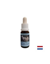 Daje unutarnju snagu u nestabilnim situacijama - Sea Snail Essence br. 8, kapi 15 ml