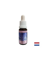 Za fokus na sebe - Esencija cikorije br. 8, kapi 15 ml