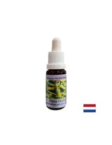 Približava ljude energiji prirode - Essence Orchid Deva br. 9, kapi 15 ml