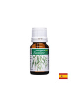 Organsko eterično ulje eukaliptusa - dišni sustav - Aceite Esencial Eco Eucalipto, 10 ml