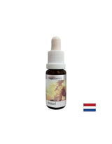Pomaže u razumijevanju značenja novca - Angel Essence No. 1, kapi 15 ml