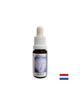 Za pronalaženje pravih riječi - Essence Mechiel (Angel Essence No. 16), kapi 15 ml