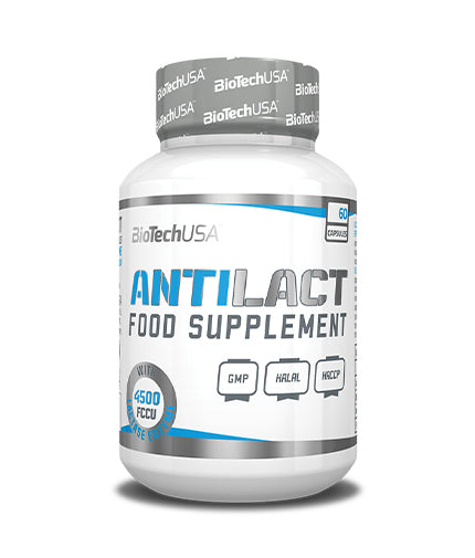 Antilact/60 kap.