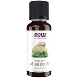 Ulje atlaskog cedra | 100% čisti Cedrus Atlantica - 30 ml