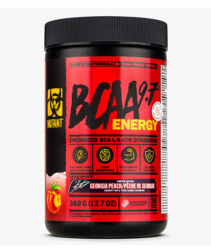 BCAA 9.7 ENERGY - 0,360 kg
