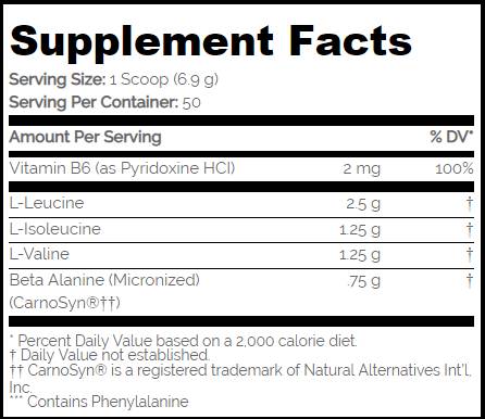 BCAA Pro 5000/bez aspartama - 345 grama