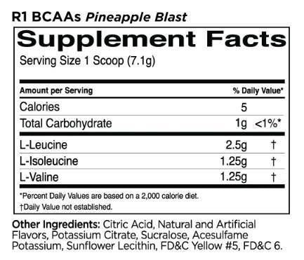 BCAA | 100% mikronizirana 2:1:1 BCAA formula - 240 grama