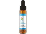Bachove kapi BIJELI KESTEN 20 ml