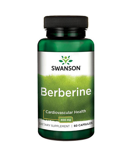 Berberin 400 mg - 60 kapsula