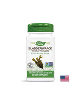 Bladderwrack 580 mg - 100 kapsula