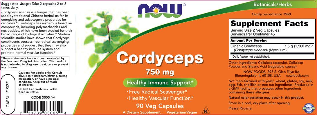 Cordyceps 750 mg - 90 kapsula