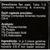 Cordyceps CS-4 90 kapsula