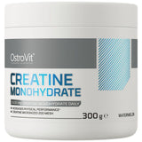 Kreatin monohidrat u prahu - 300 grama