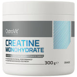 Kreatin monohidrat u prahu - 300 grama