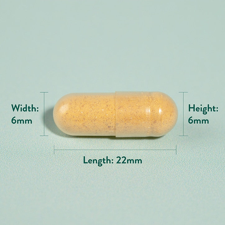 Kurkuma 500 mg 240 kapsula HOLLAND & BARRETT
