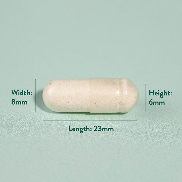Maltodextrin/100% Pure - 3000 grama