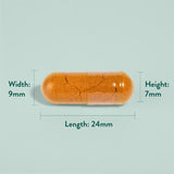 Kurkuma visoke snage 600 mg | Sa crnim paprom - 90 kapsula