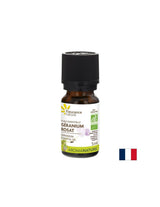 Eterično ulje geranija, BIO, 5 ml