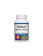 WellBetX Mulberry Extract 100 mg - 90 капсули - Feel You