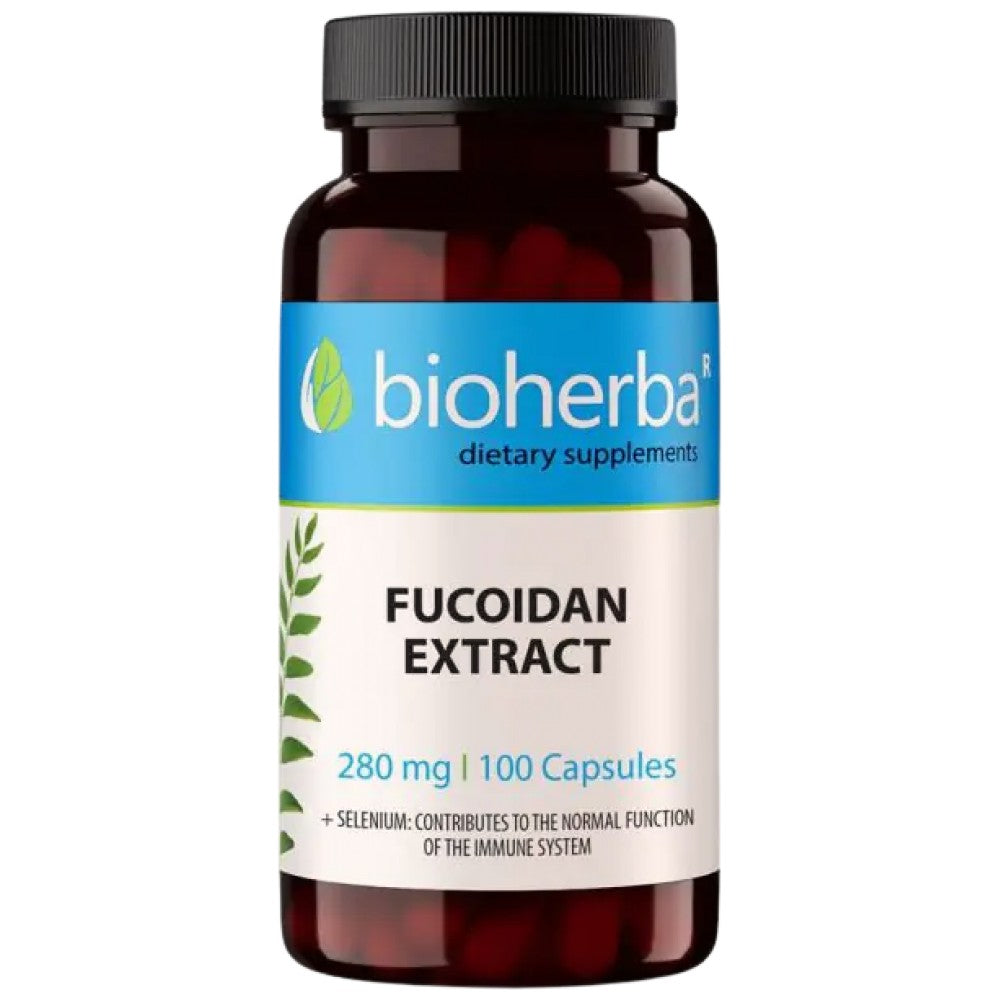 Fucoidan ekstrakt 280 mg - 100 kapsula