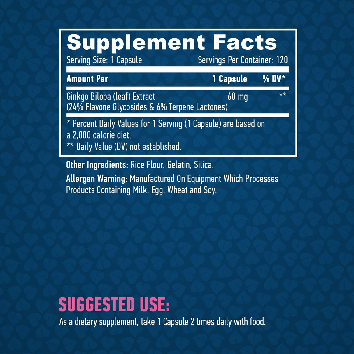 Ginkgo biloba 60 mg./120 kaps.