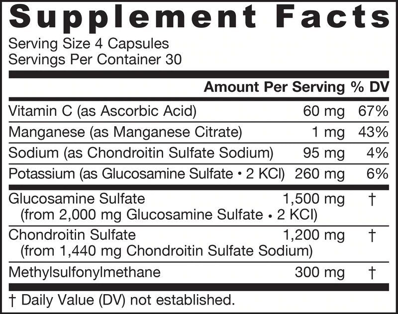 Glucosamine Chondroitin MSM - Glucosamine Chondroitin MSM 120 kapsula