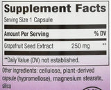 Sjemenke grejpa 250 mg - 60 kapsula