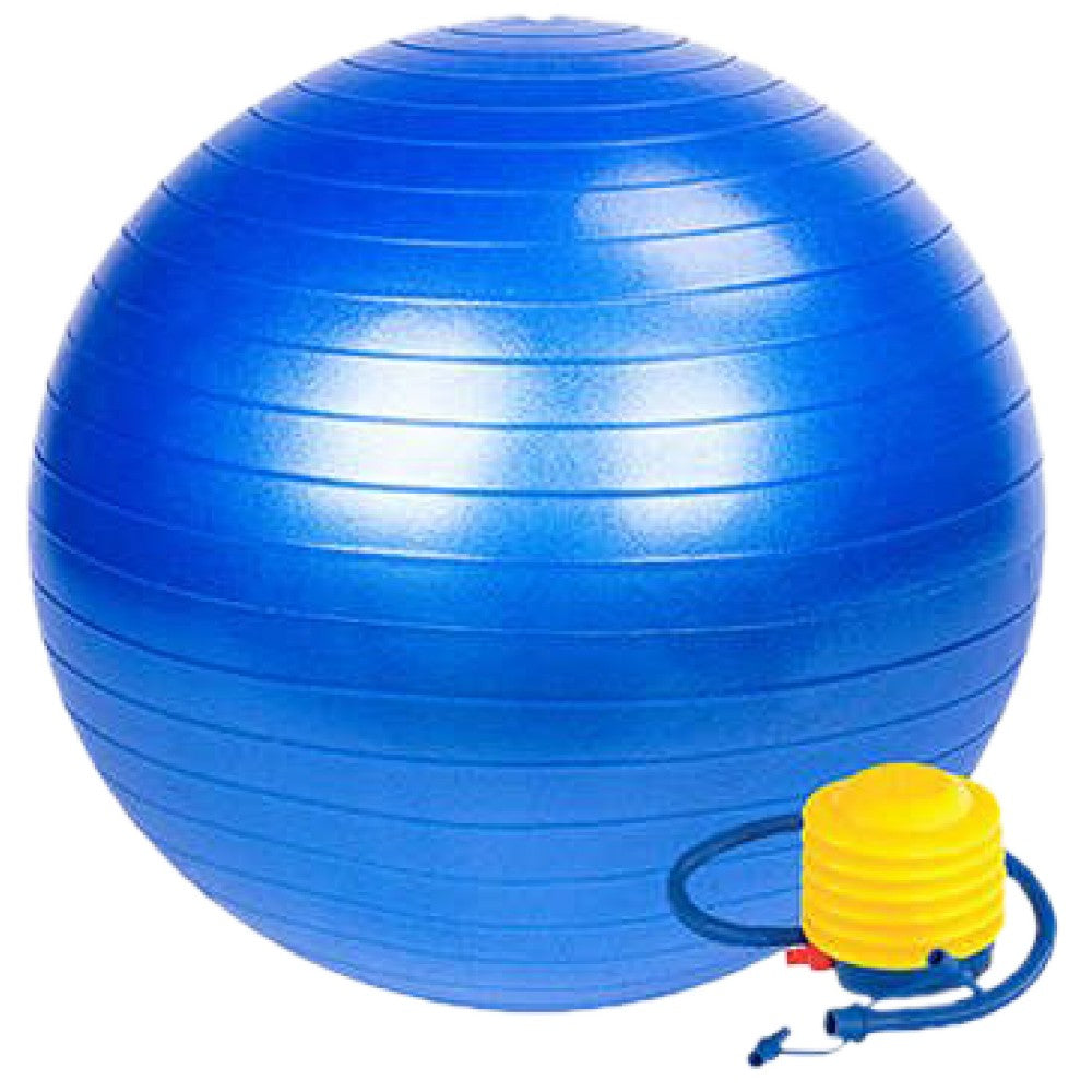 Gimnastička švicarska lopta 75 cm/Gimnastička švicarska lopta s pumpom 75 cm 75 cm