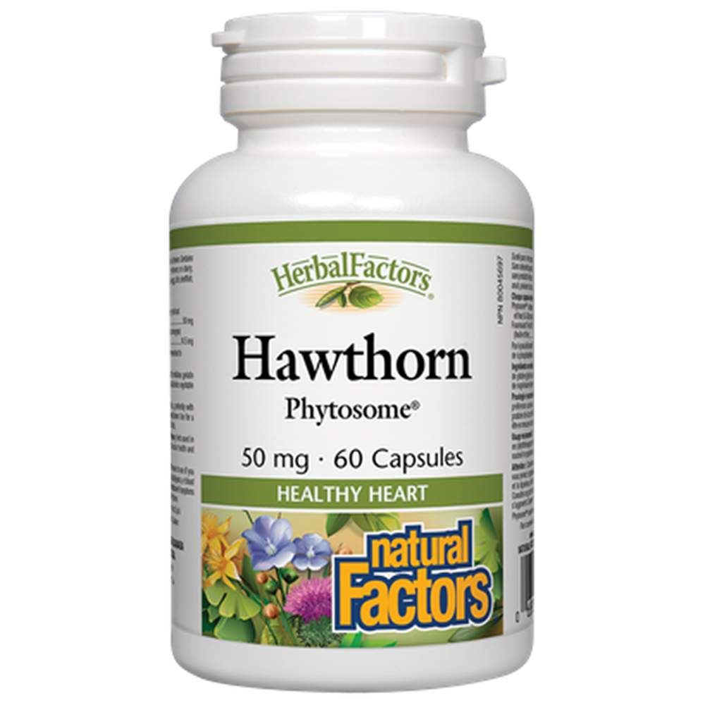 Phythorn Phytosome 50 mg 60 kapsula