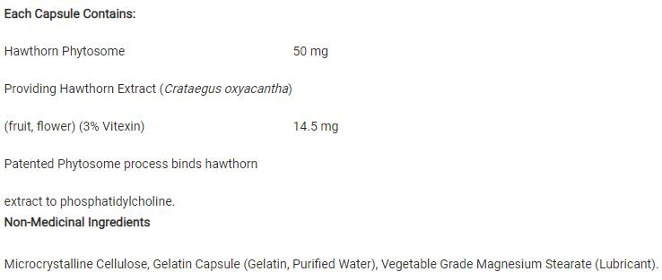 Phythorn Phytosome 50 mg 60 kapsula