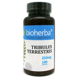 Tribulus terestris 250 mg - 100 kapsula
