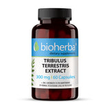 Tribulus terestris ekstrakt 300 mg - 60 kapsula
