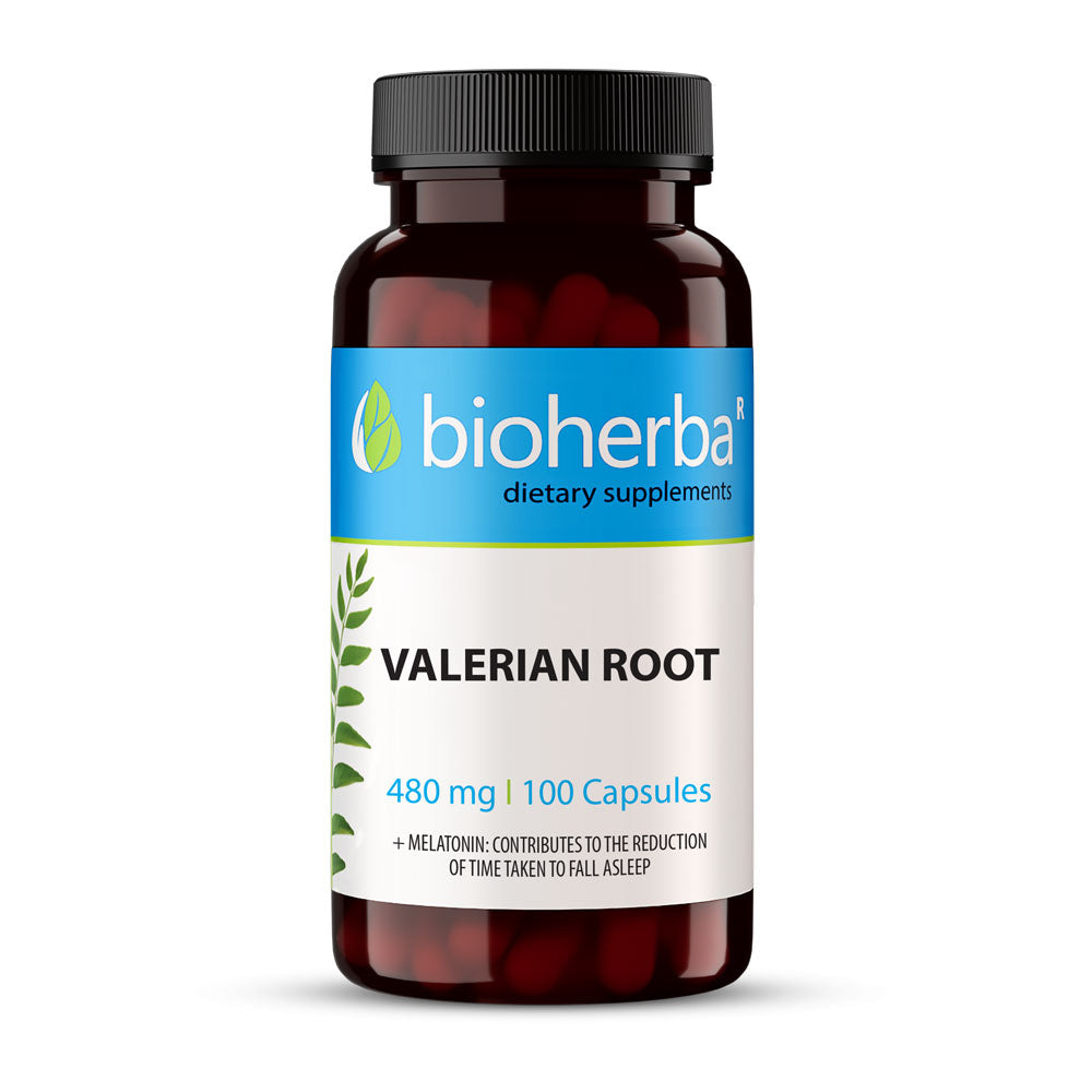 Valerian korijen 380 mg - 100 kapsula