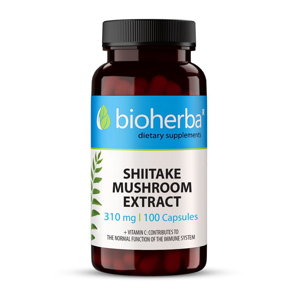 Ekstrakt gljiva shiitake 310 mg - 100 kapsula