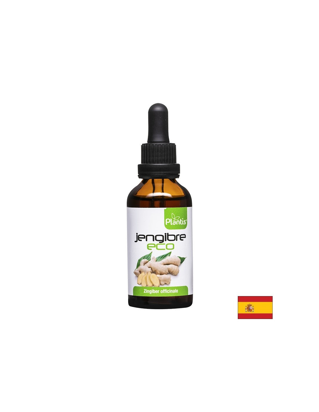 Jengibre Eco – Đumbir (tinktura), 50 ml Arte<tc>san</tc>ija