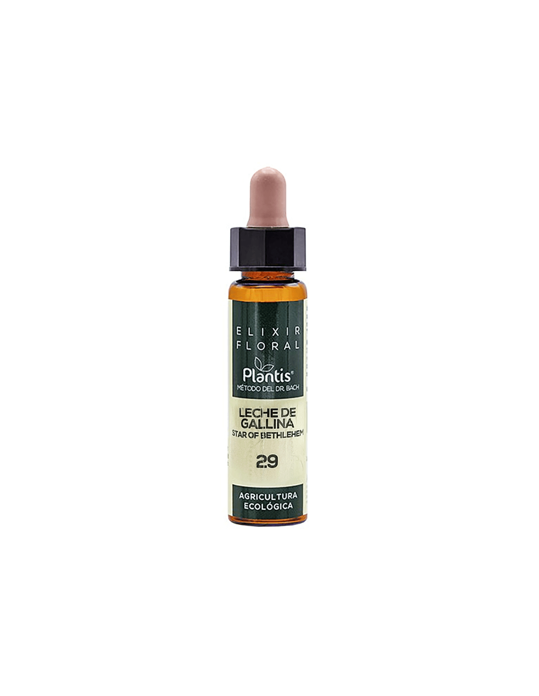 Leche de gallina (Betlehemska zvijezda) Elixir Floral 29 - Cvjetni eliksir Betlehemske zvijezde, 10 ml Arte<tc>san</tc>ija