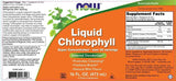 Tekući klorofil & Menta - 473 ml