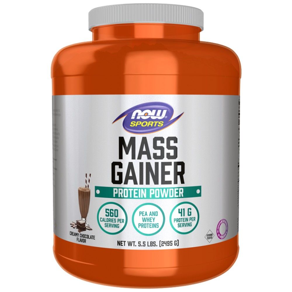Puder za povećanje mase | High Protein Gainer - 2495 grama