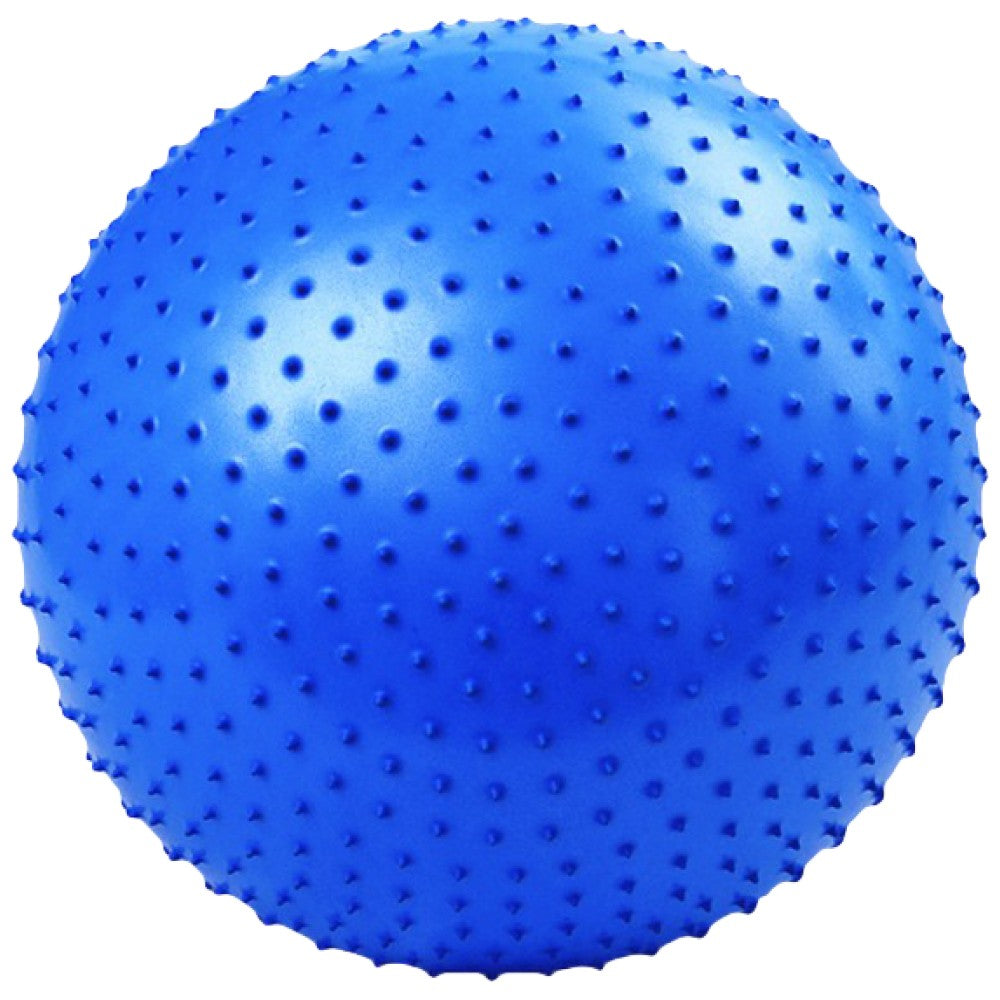 Masažna fitness lopta sa pumpicom 65 cm/Massage Fitness Ball with a Pump 65 cm